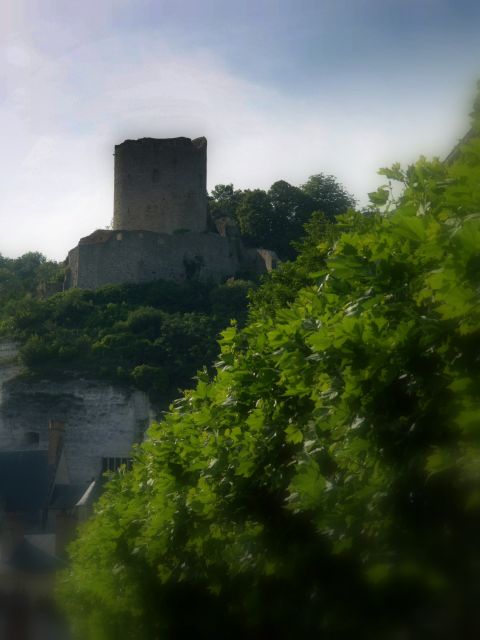 L'ancien château de la Roche-Guyon