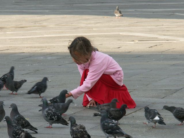 Marie et les pigeons